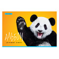 Альбом для рисования 20л., А4, на скрепке ArtSpace "Животные. Funny panda", обложка-офсет
