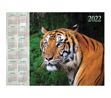 Календарь настенный листовой, 2022 г., формат А1 90х60 см, "Год тигра", HATBER, Кл1_25151
