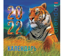 Календарь настенный перекидной 2022 г., 6 листов, 30х30 см, "Год тигра", HATBER, 6Кнп4_26066