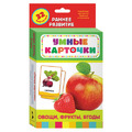 Карточки развивающие "Овощи, фрукты, ягоды", Котятова Н.И., Росмэн, 20988
